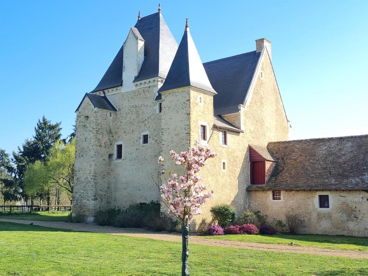Manoir De La Beuneche - Location Du Manoir Entier Roeze-sur-Sarthe Ngoại thất bức ảnh