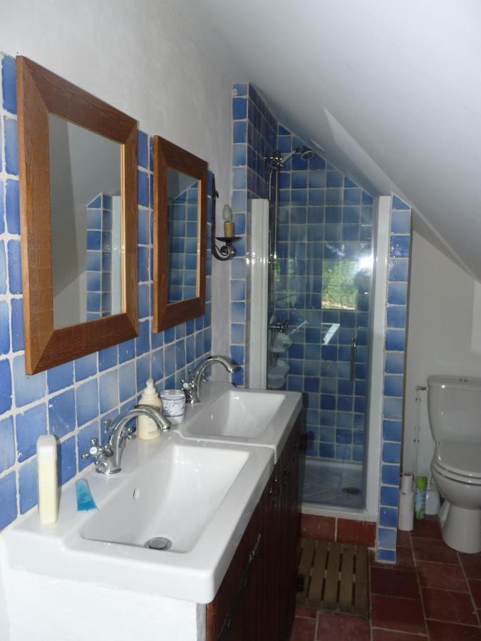 Manoir De La Beuneche - Location Du Manoir Entier Roeze-sur-Sarthe Ngoại thất bức ảnh