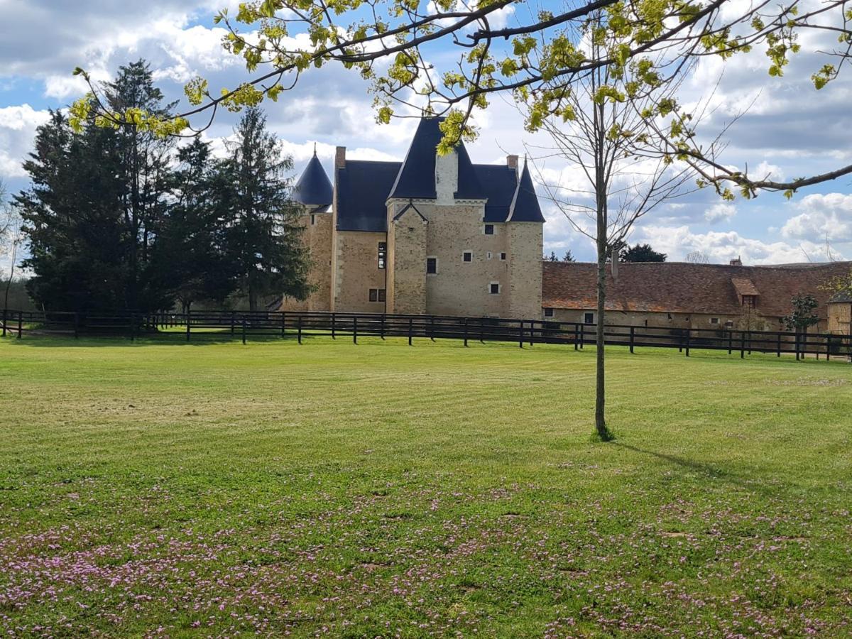 Manoir De La Beuneche - Location Du Manoir Entier Roeze-sur-Sarthe Ngoại thất bức ảnh